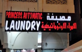 Princess Automatic Laundry